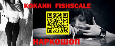 стафф Кингисепп