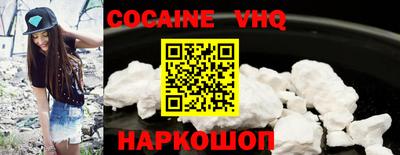 стафф Кингисепп