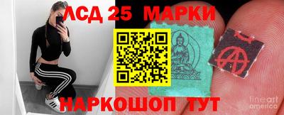 стафф Кингисепп