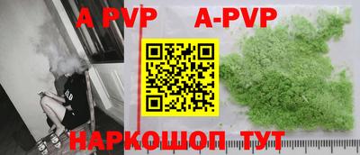 стафф Кингисепп