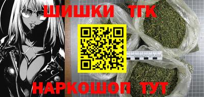 стафф Кингисепп