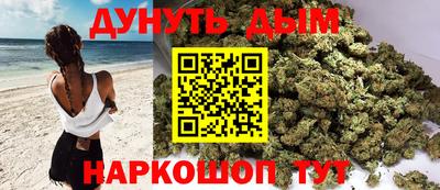 стафф Кингисепп