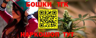 стафф Кингисепп