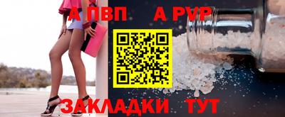 стафф Кингисепп