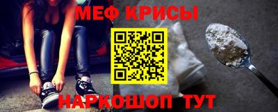 стафф Кингисепп