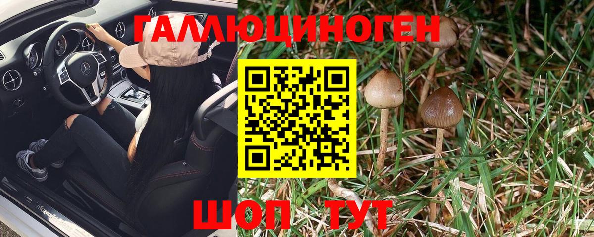 Галлюциногенные грибы Magic Shrooms Южноуральск