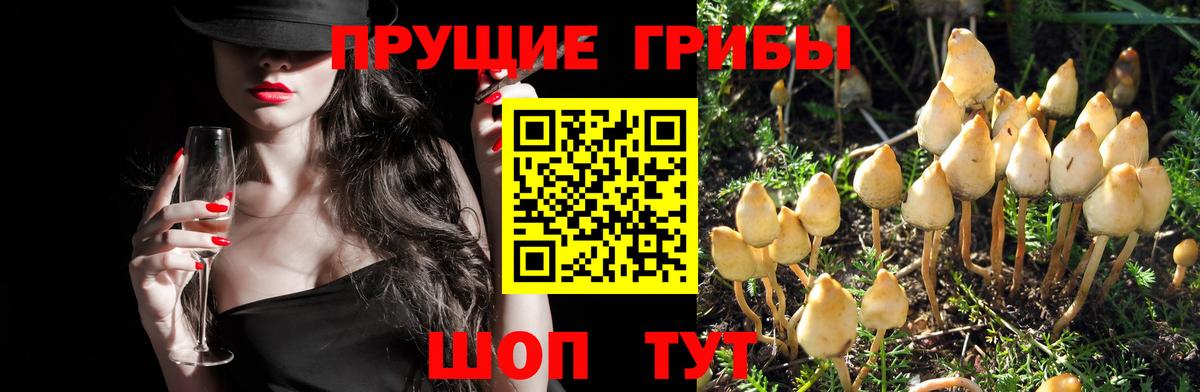 Галлюциногенные грибы мухоморы  Вход с VPN  купить наркоту  Южноуральск 